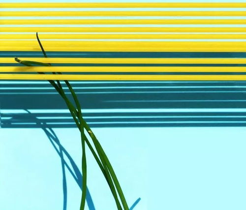 建筑之味 當(dāng)混凝土與創(chuàng)意交融的文化藝術(shù)策劃