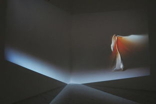 “后生命” 上海媒體藝術(shù)展，數(shù)字時(shí)代的美學(xué)探索